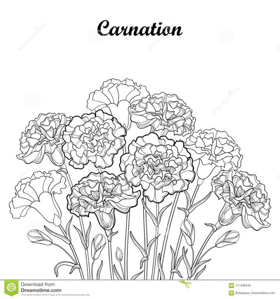 Бархатцы трафарет