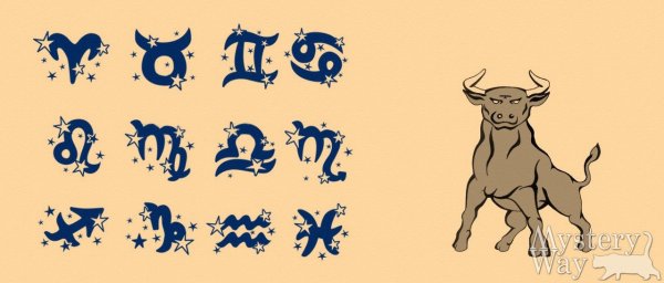 Бык знак зодиака