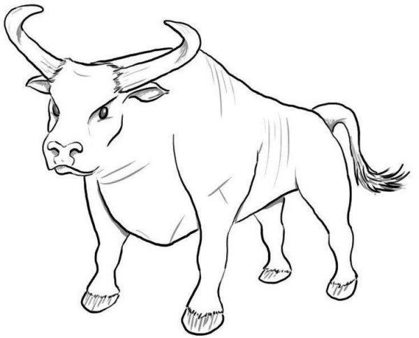 Бык раскраска для детей