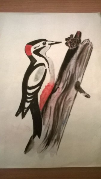 Птицы в лесу для рисования