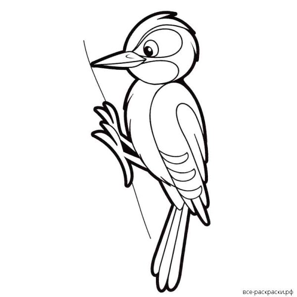 Дятел поэтапное рисование для детей