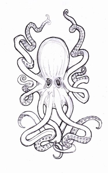Тату осьминог Кракен