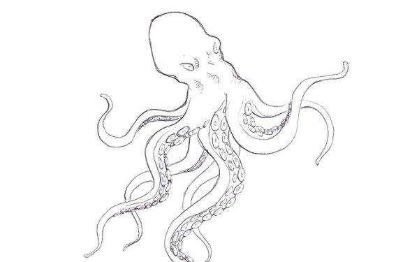 Щупальца раскраска