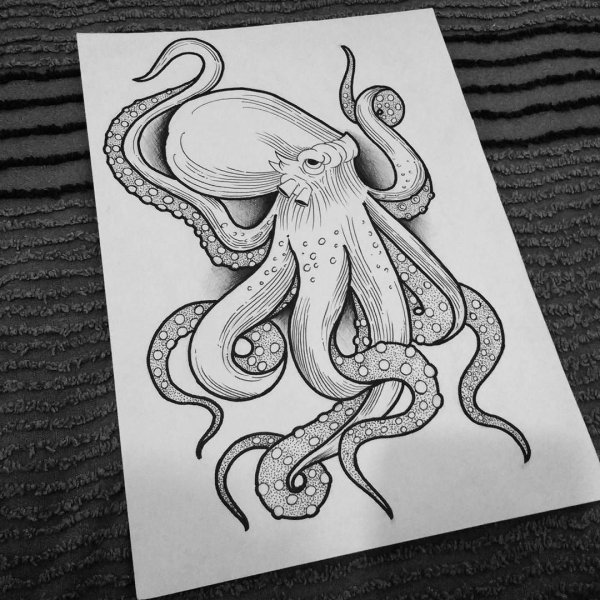 Кракен эскиз