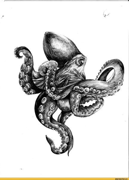 Тату осьминог чб