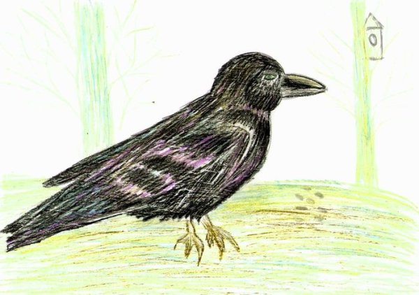 Рисование Грача