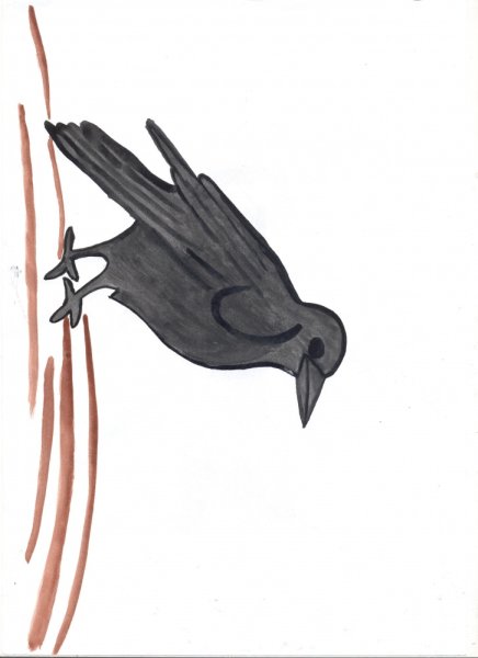 Рисование птицы Грач