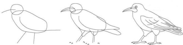 Рисунок Грача поэтапно