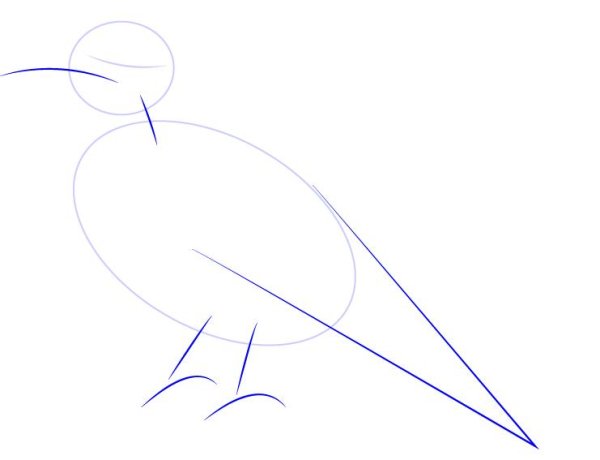 Рисование Грача