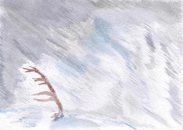 Этюд 12 ф лист метель