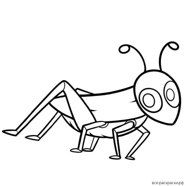 Кузнечик рисунок карандашом