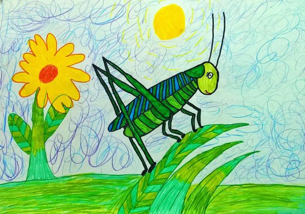 Кузнечик рисунок карандашом