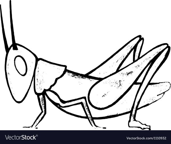 Кузнечик рисунок для детей карандашом