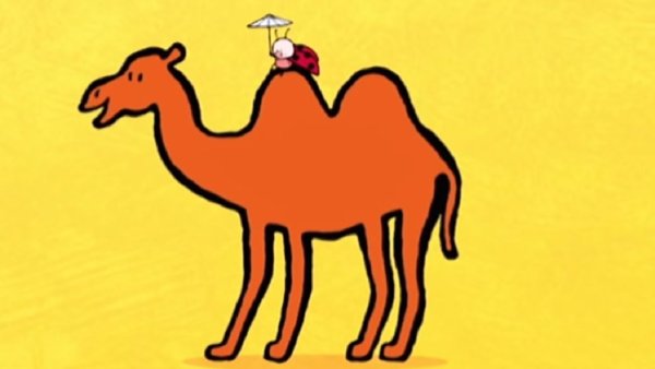Верблюд карандашом