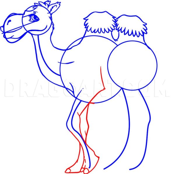Раскраски легкие верблюд