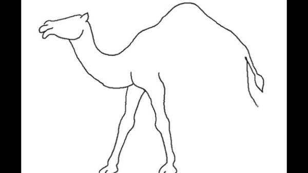 Пирамиды Египта раскраска