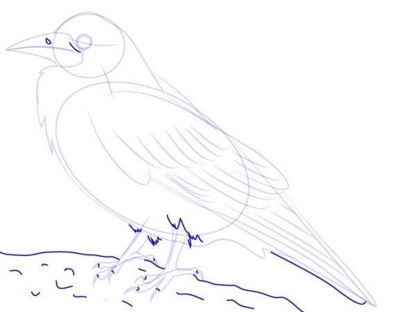 Рисунок Грача поэтапно