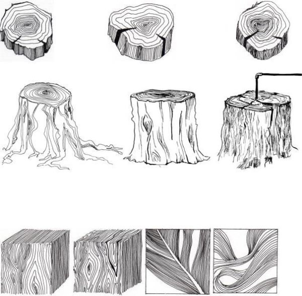 Зарисовки элементов пейзажа