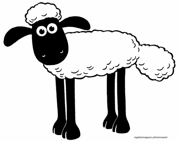 Нарисуй барашка