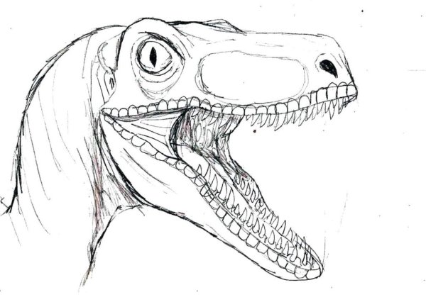 Велоцераптор скетч