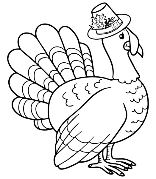 Раскраска индюк для детей 6-7 лет