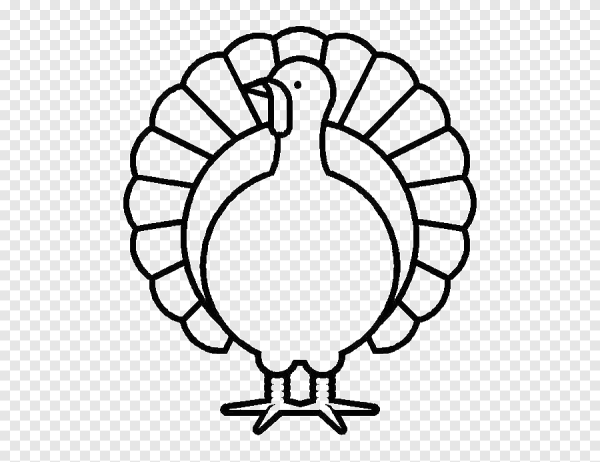 Turkey раскраска для детей