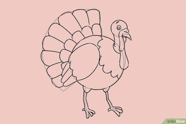 Индюк раскраска для детей