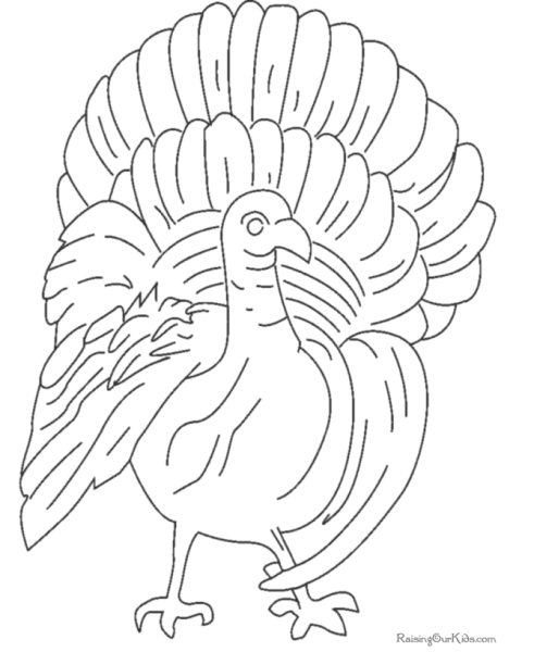 Индюк для рисования