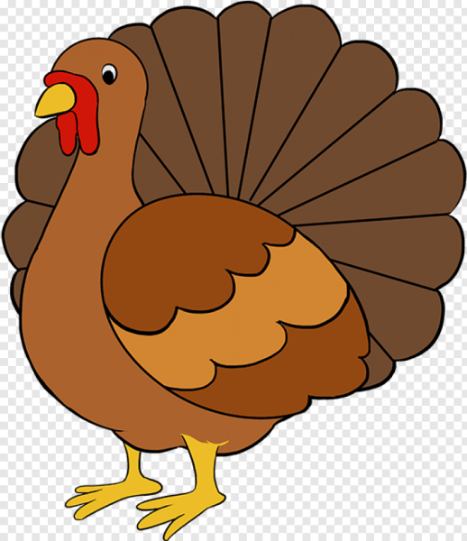 Индюк картинка для детей