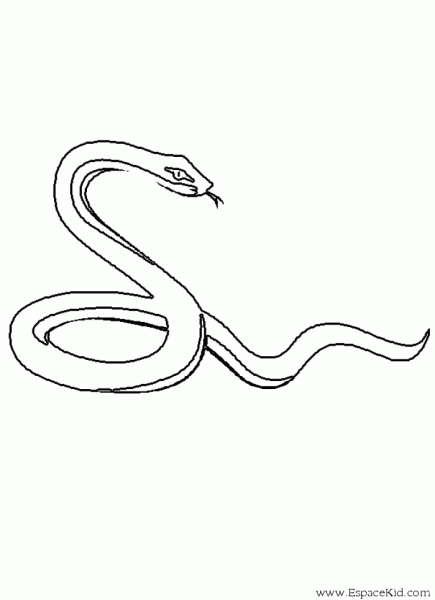 Уж раскраска для детей