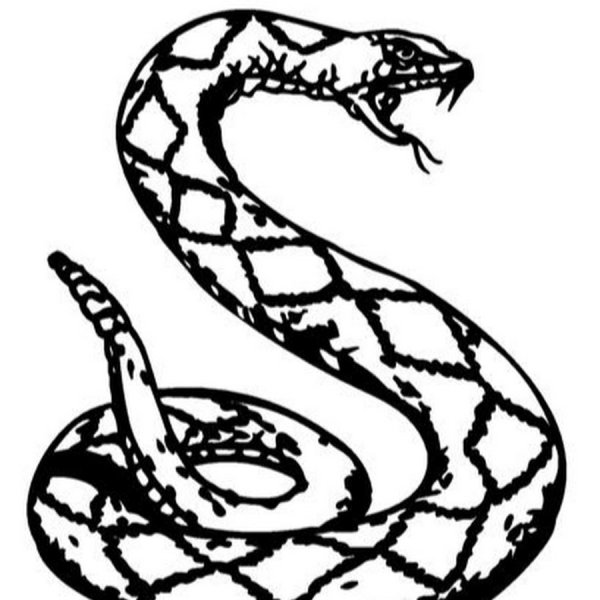 Змея Нагайна для рисования