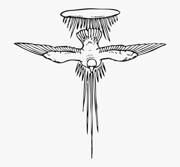 Голубь символ Святого духа