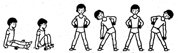 Наклоны туловища вправо влево