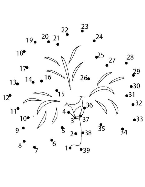 Рисование по точкам с цифрами