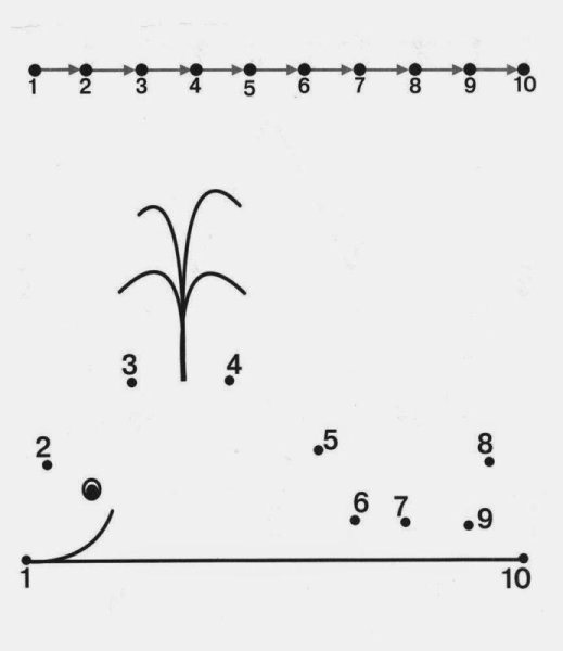 Соедини по точкам до 20 для дошкольников