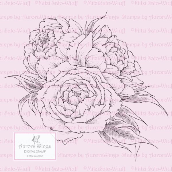 Пошаговое рисование пионов