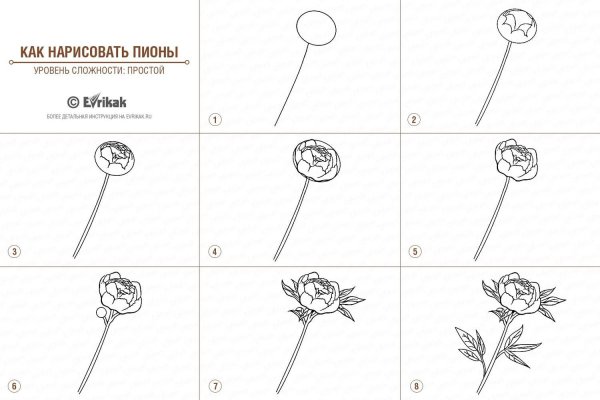 Пион Зентангл