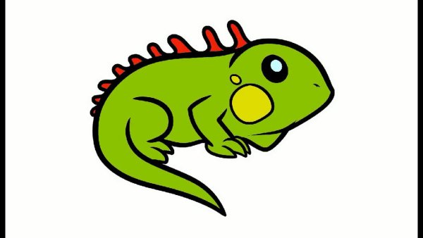 Как нарисовать игуану
