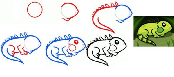 Как рисовать игуану