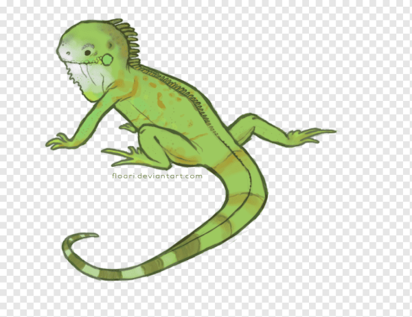 Чиби ящерица