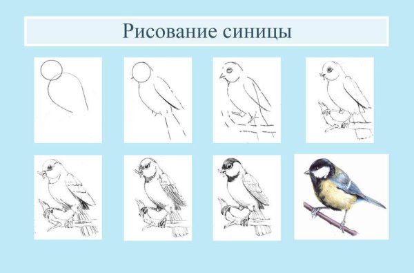 Трафорет Снегири для рисования