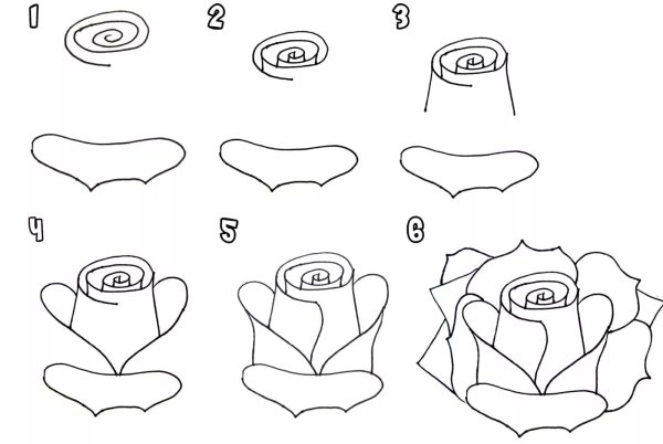 Роза раскраска для детей
