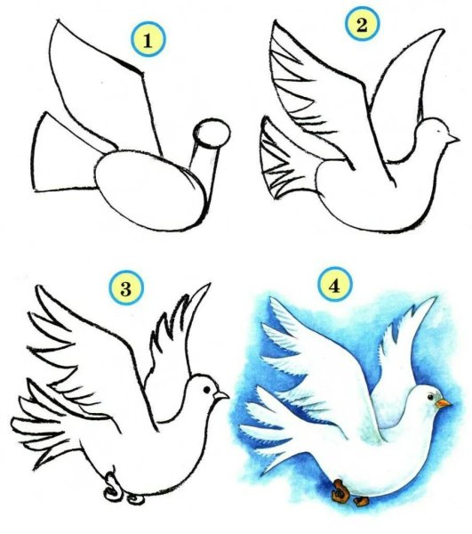 Поэтапное рисование птиц