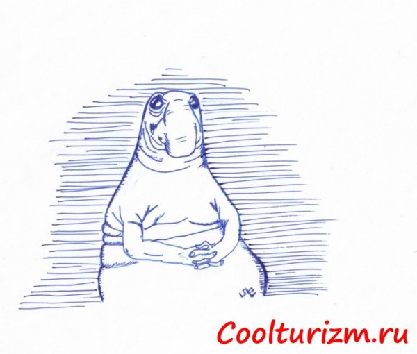 Ждун рисунок