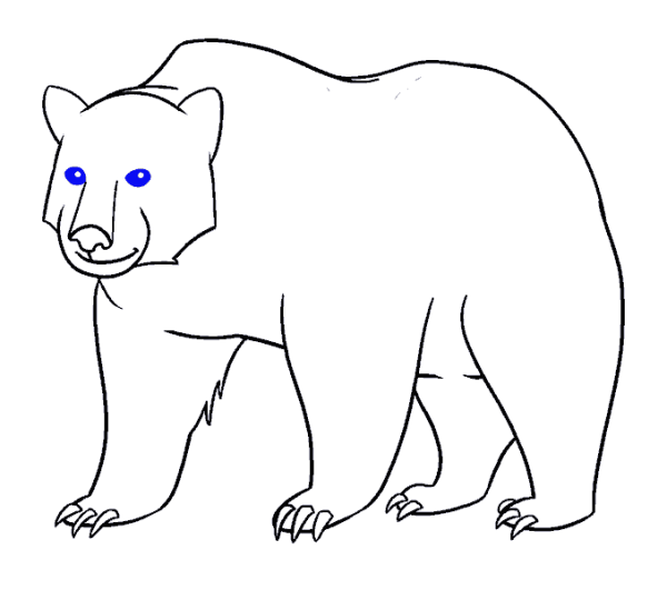 Белый медведь сбоку рисунок
