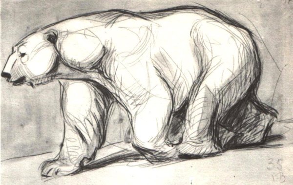 Белый медведь рисунок для детей карандашом