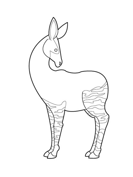 Животное окапи раскраска