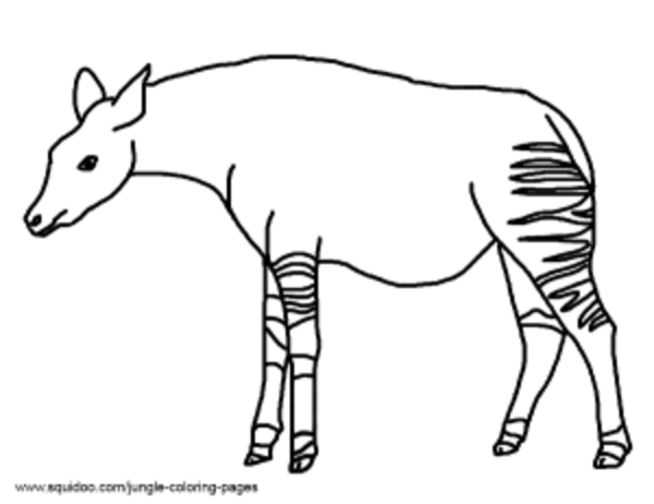 Нарисовать окапи