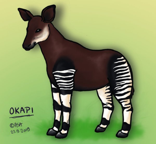 Окапи Заходер