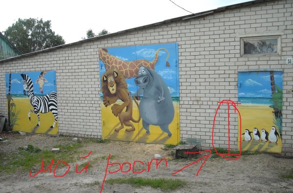 Аэрография на заборе